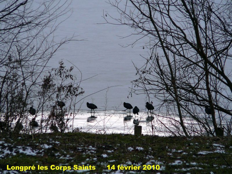 121_10 Longpre.jpg